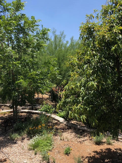 This image has an empty alt attribute; its file name is unnamed-4.jpg